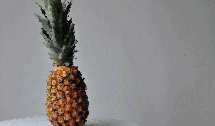 Pineapples and Pronouns